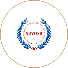 SDVOSB-Vighter